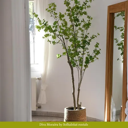 فيلة Solhabitat Moraira Diva
